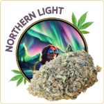 northern light cbd pas cher