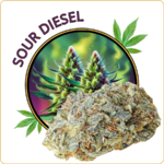 sour diesel cbd pas cher
