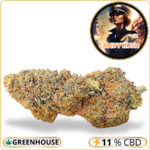 candy kush cbd