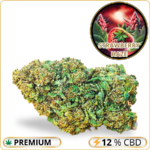 strawberry haze cbd