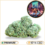 ak 47 cbd