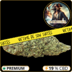 jack herer cbd