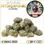 small buds cbd pas cher super silver haze