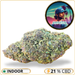 amnesia cbd