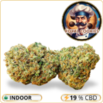 royal cookies cbd