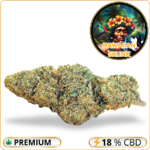 hawaiian skunk cbd