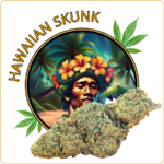 hawaiian skunk fleur cbd pas cher