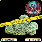 ak 47 cbd