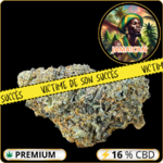 jamaican cbd