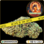 orange bud cbd
