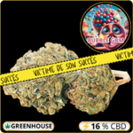 bubble gum cbd