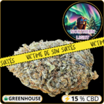 northern light cbd