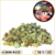 mini buds cbd pas cher