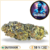 blueberry fleur cbd pas cher