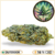 big bud fleur cbd puissante pas cher