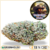 blueberry diesel cbd