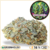 sour diesel cbd