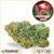 strawberry haze cbd