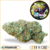 cali grape cbd