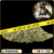 jack herer cbd