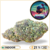 amnesia cbd