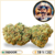 royal cookies cbd