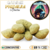 moonrock cbd