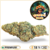 hawaiian skunk cbd