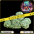 ak 47 cbd