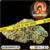 orange bud cbd