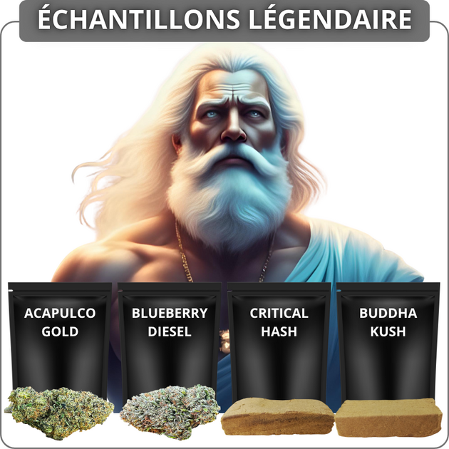 échantillon cbd - cbd en ligne livraison rapide