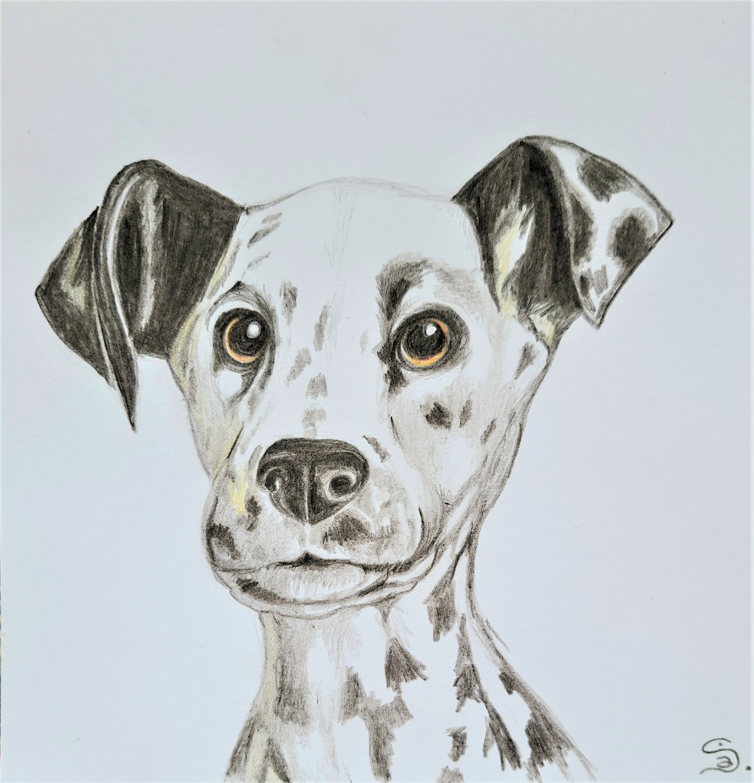 Dalmatien