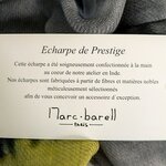 Echarpe laine lions.2