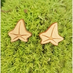 Puces d'oreilles Lierre
