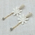 PXL_20250602_082240393~2