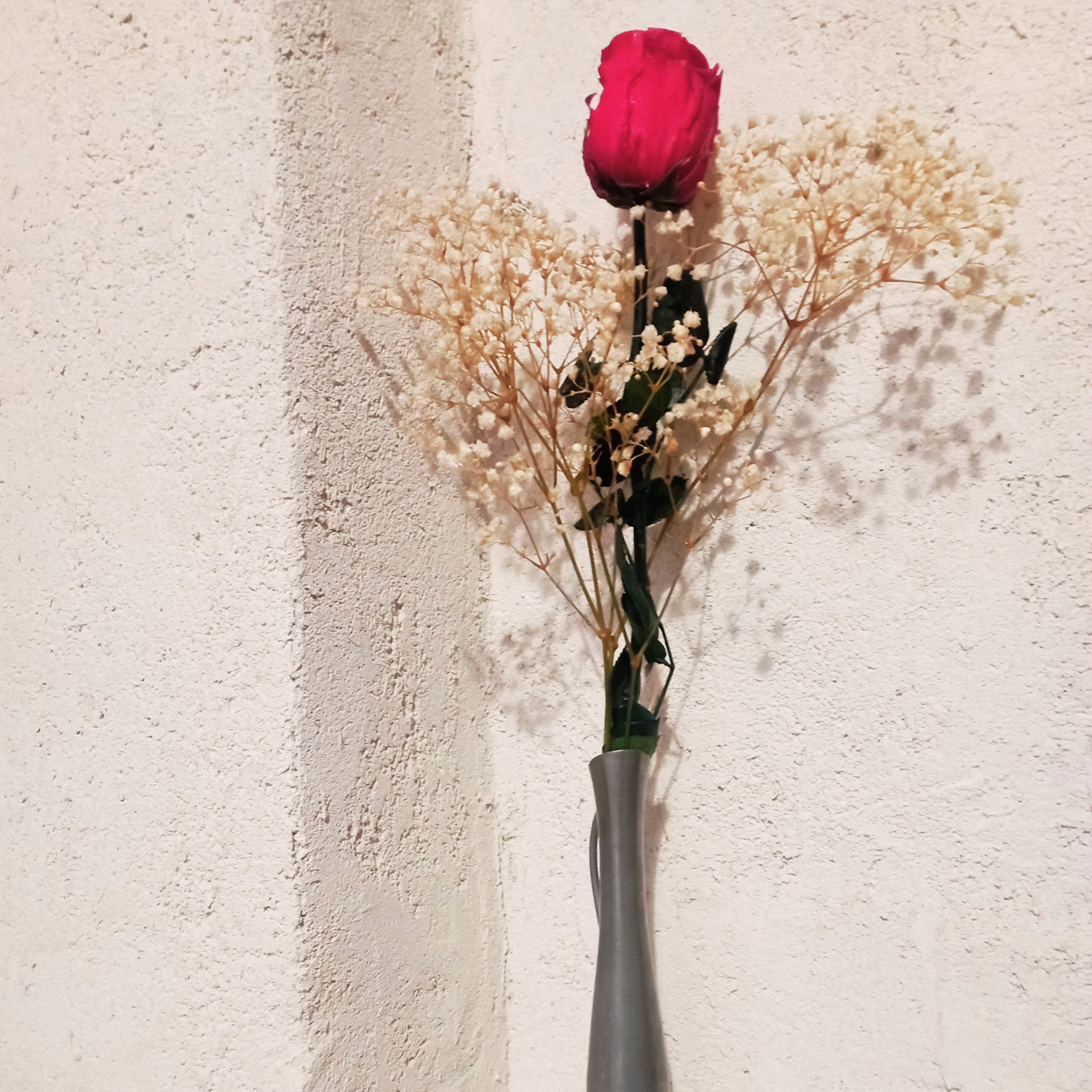 Rose éternelle rouge et gypsophile stabilisé