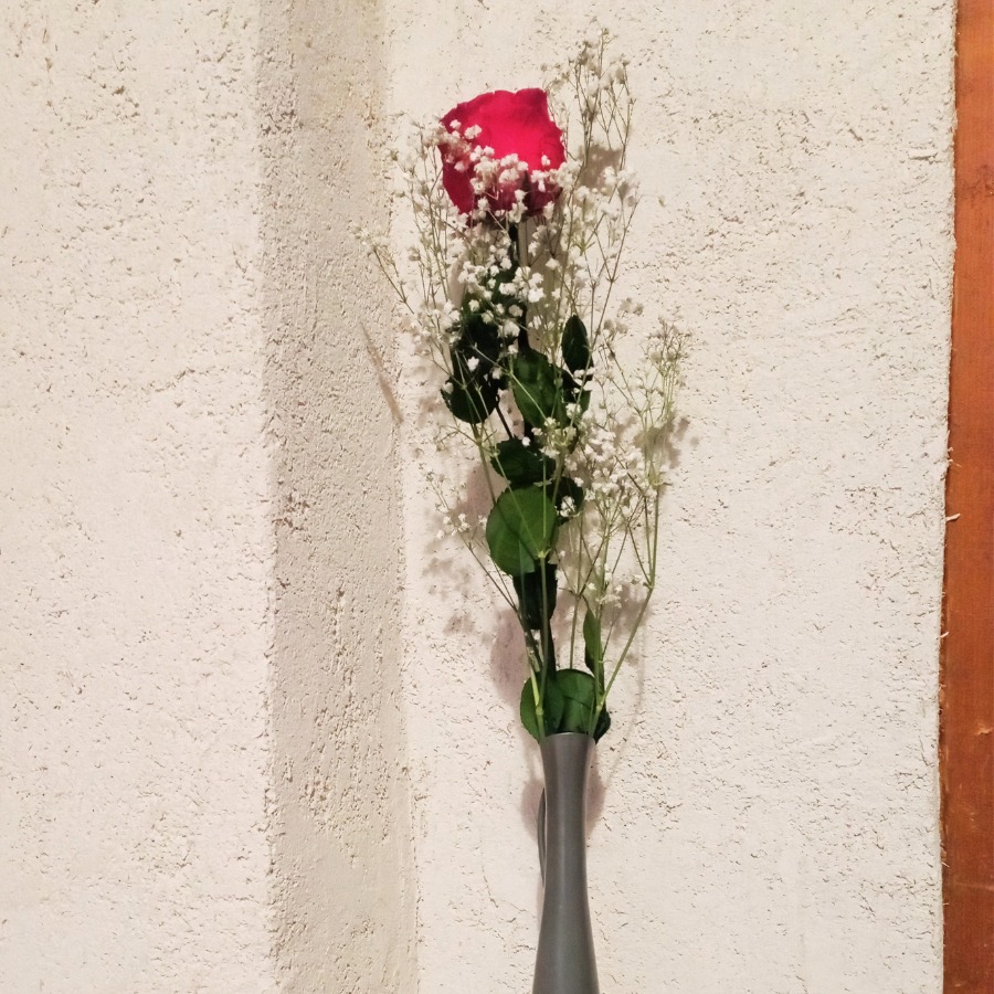 Rose éternelle rouge et gypsophile séché Saint Valentin
