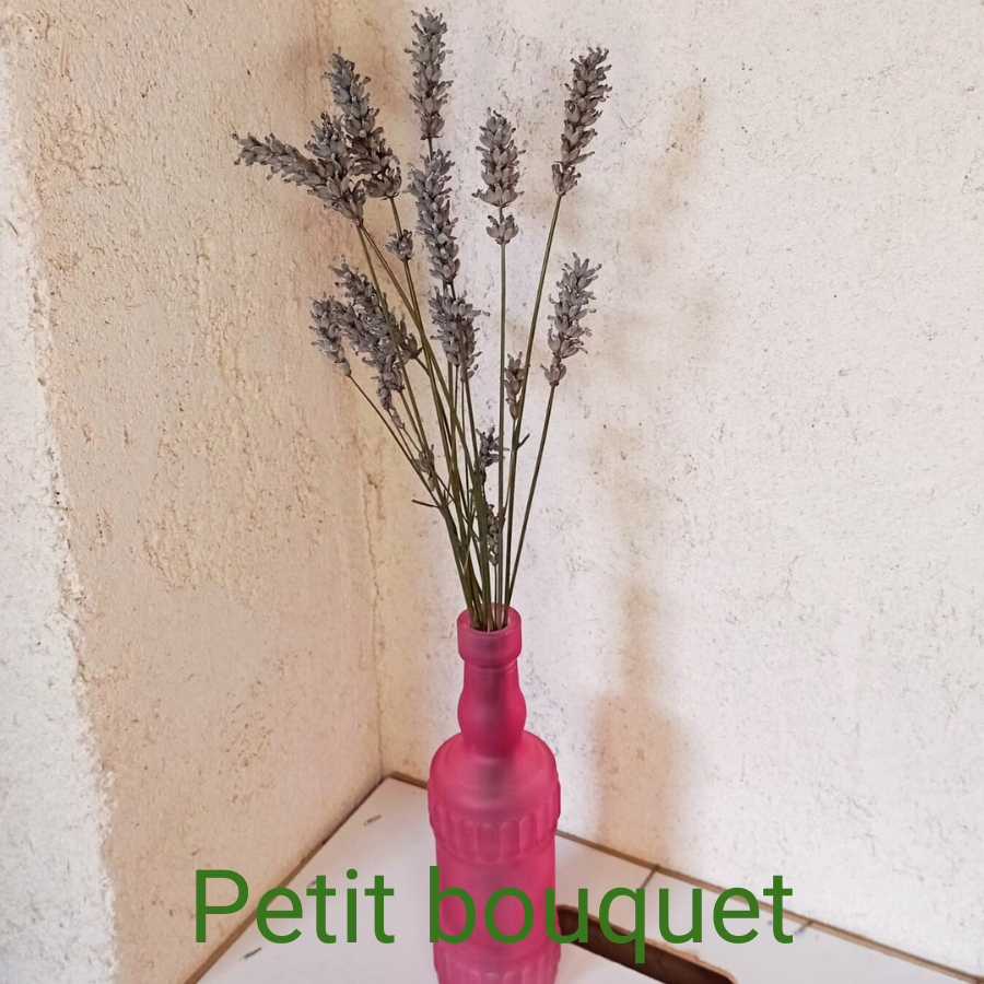 Lavande - Petit bouquet