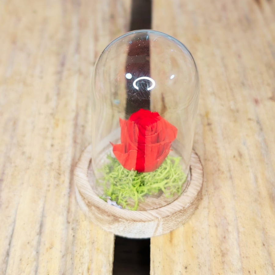 Mini cloche rose éternelle - fée florale