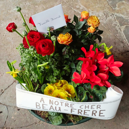 deuil coupe de plante jaune rouge orange