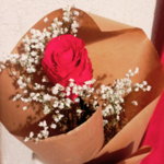 Rose éternelle rouge et gypsophile séché Saint Valentin