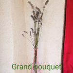 Lavande - Grand bouquet