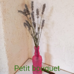 Lavande - Petit bouquet