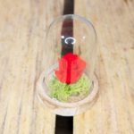 Mini cloche rose éternelle - fée florale