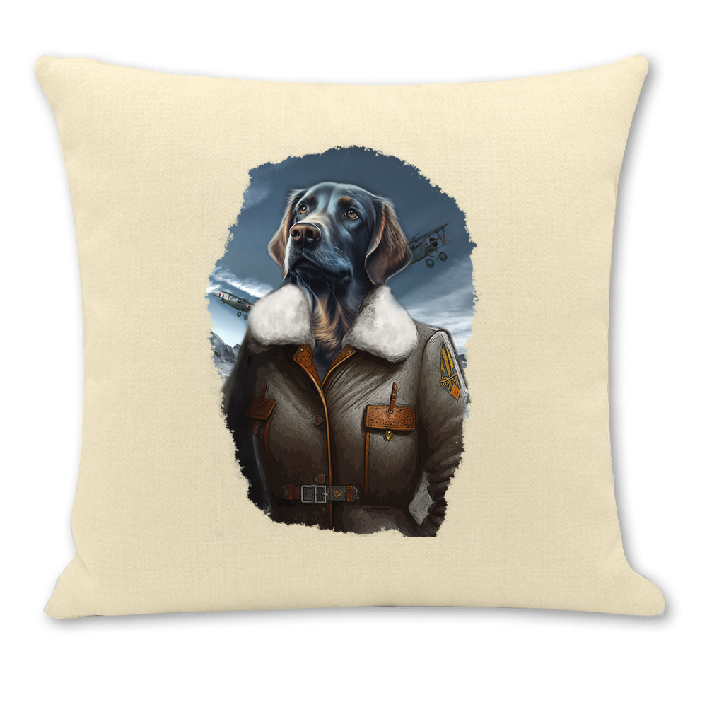 Housse de coussin chien aviatrice