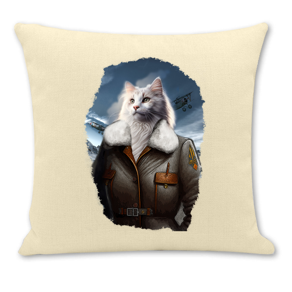 Housse de coussin chat aviatrice