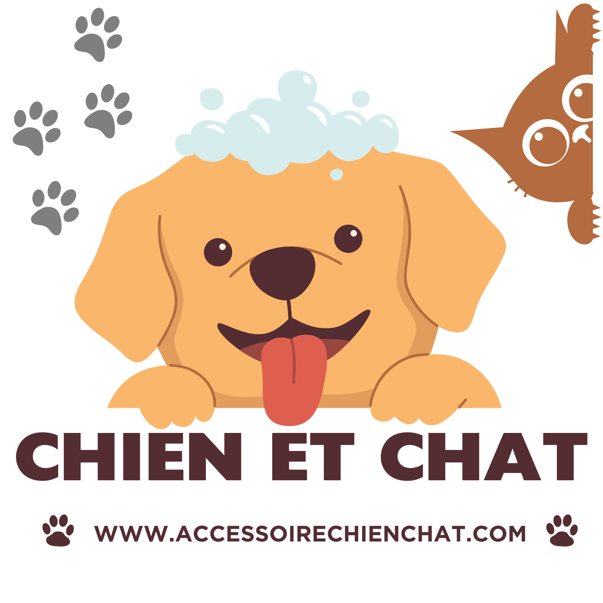Accessoires pour chiens et chats – Le meilleur pour votre compagnon | Livraison Rapide & Qualité