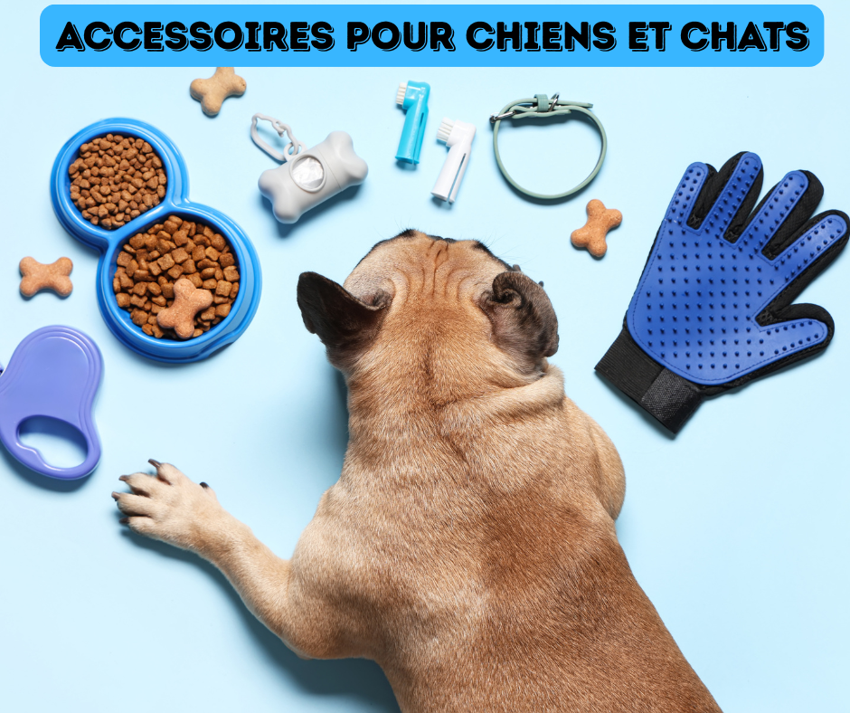 accessoires pour chiens et chats