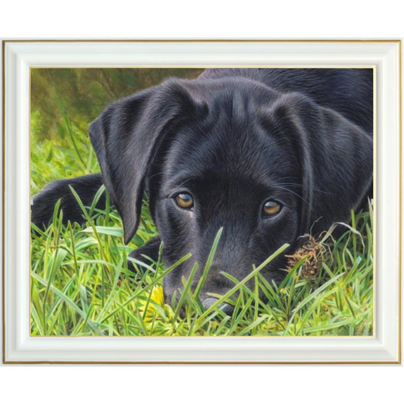 diamond-painting-labrador-noir