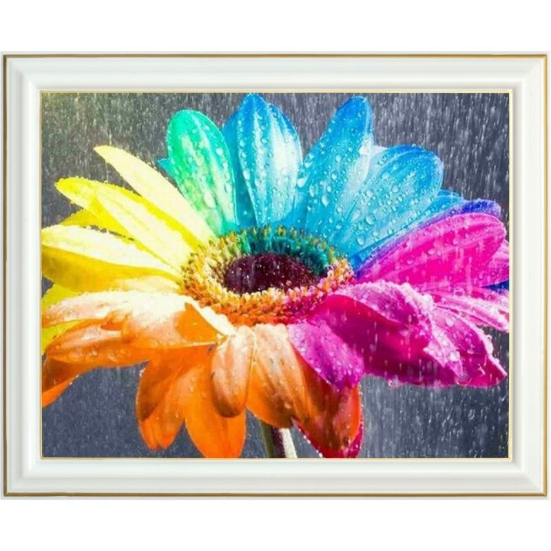 diamond-painting-marguerite-multicolore (1)